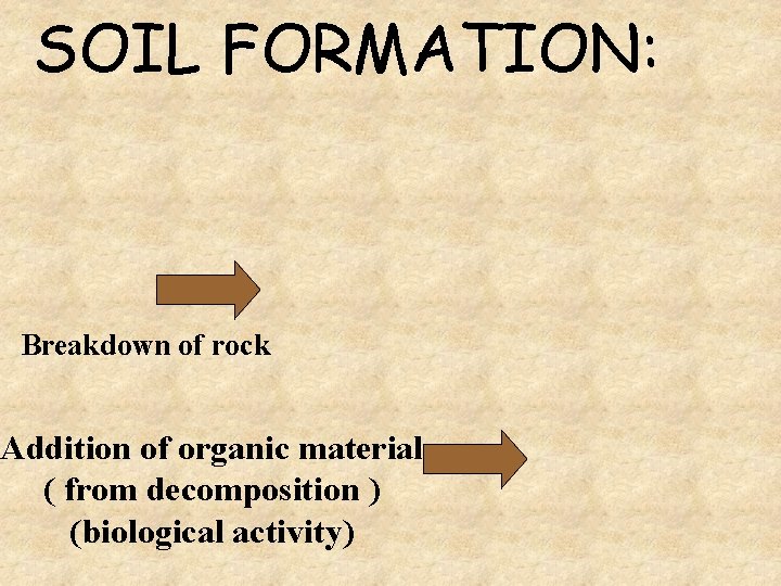 SOIL FORMATION: Breakdown of rock Addition of organic material ( from decomposition ) (biological