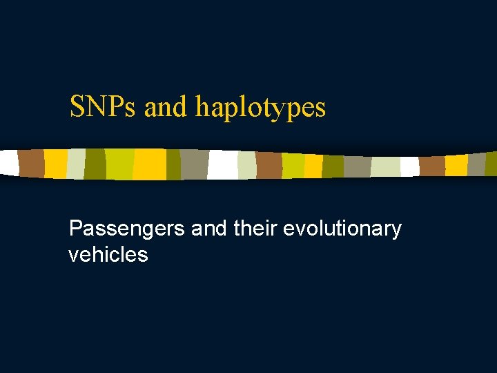 SNPs and haplotypes Passengers and their evolutionary vehicles 