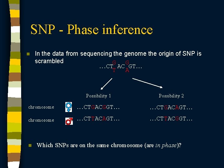 SNP - Phase inference n In the data from sequencing the genome the origin