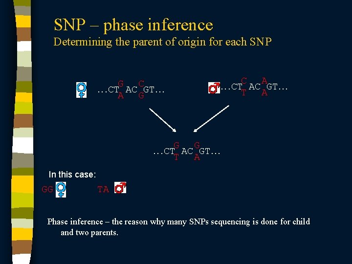 SNP – phase inference Determining the parent of origin for each SNP G C.