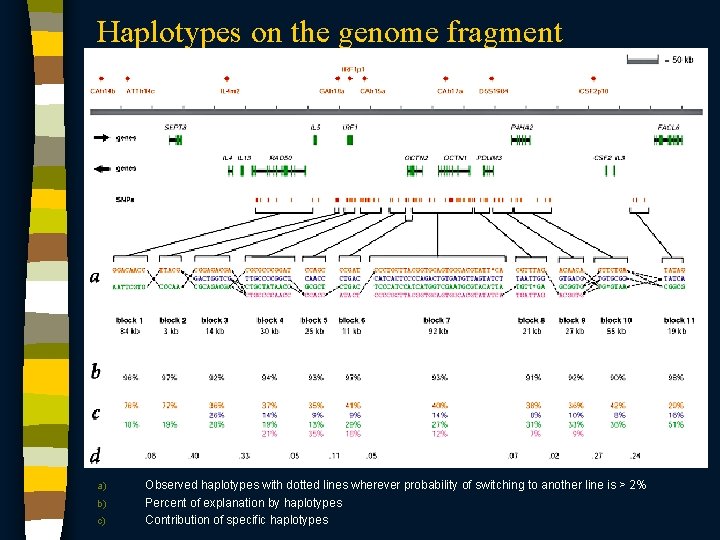 Haplotypes on the genome fragment a) b) c) Observed haplotypes with dotted lines wherever