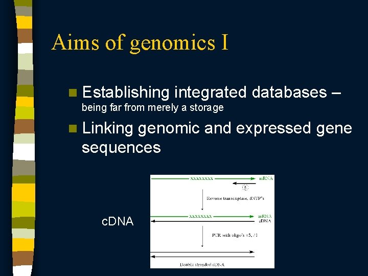 Aims of genomics I n Establishing integrated databases – being far from merely a