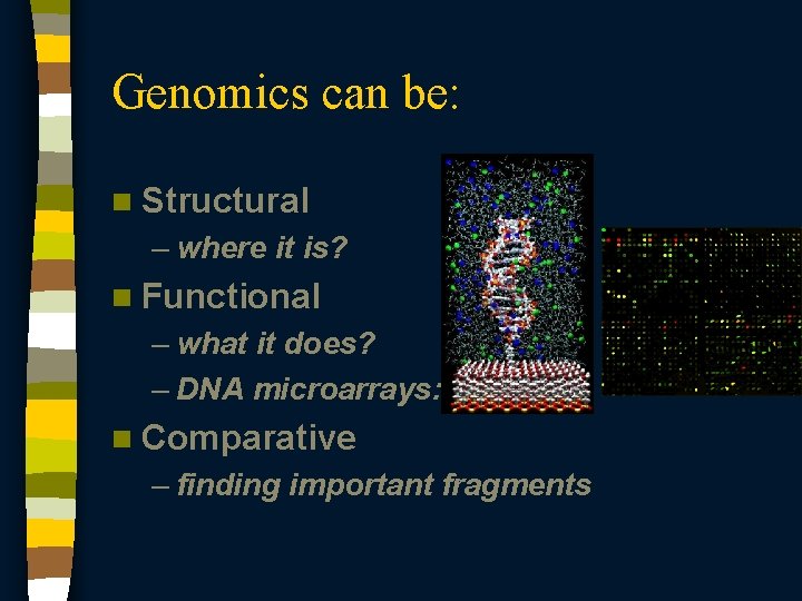 Genomics can be: n Structural – where it is? n Functional – what it