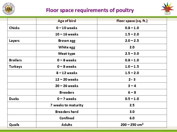 Floor space requirements of poultry Age of bird Floor space (sq. ft. ) Chicks