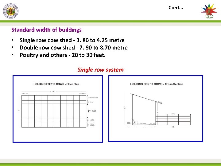 Cont… Standard width of buildings • Single row cow shed - 3. 80 to