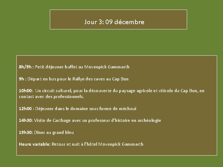 Jour 3: 09 décembre 8 h/9 h : Petit déjeuner buffet au Movenpick Gammarth