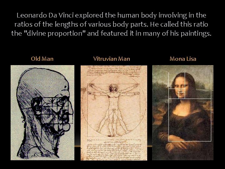 Leonardo Da Vinci explored the human body involving in the ratios of the lengths