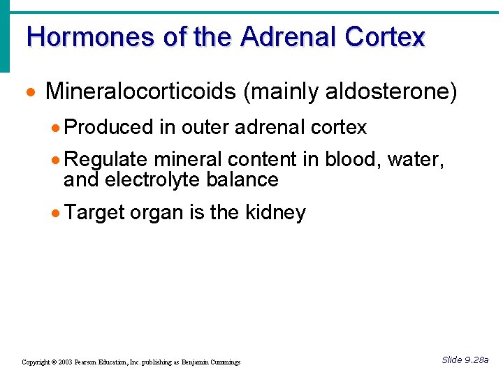 Hormones of the Adrenal Cortex · Mineralocorticoids (mainly aldosterone) · Produced in outer adrenal
