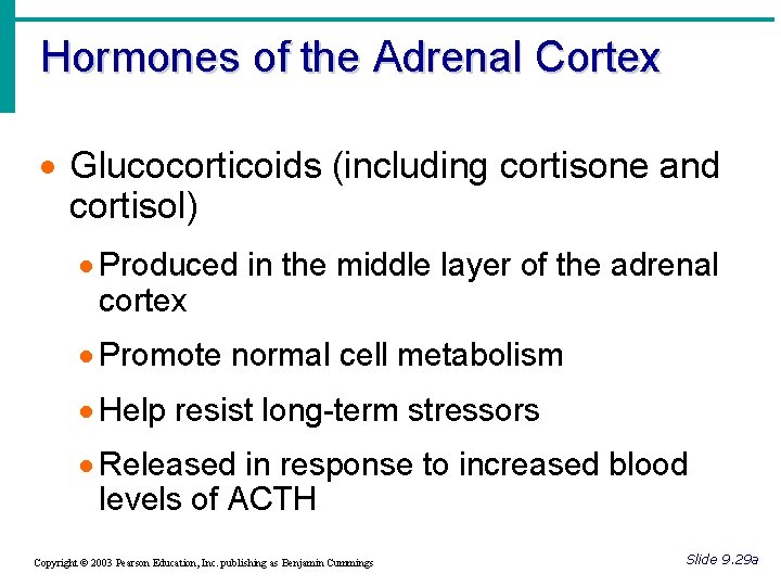Hormones of the Adrenal Cortex · Glucocorticoids (including cortisone and cortisol) · Produced in