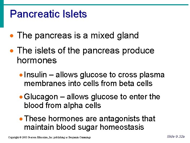 Pancreatic Islets · The pancreas is a mixed gland · The islets of the