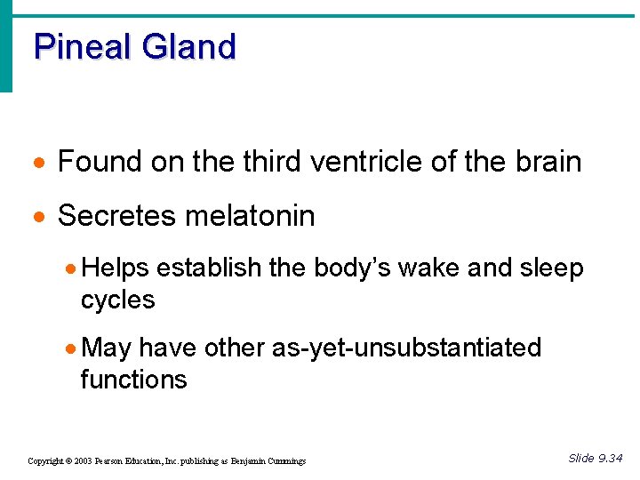 Pineal Gland · Found on the third ventricle of the brain · Secretes melatonin