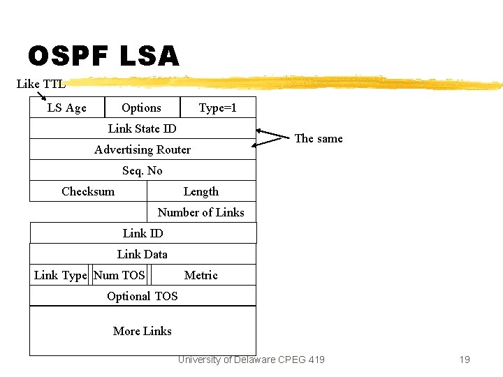 OSPF LSA Like TTL LS Age Options Type=1 Link State ID Advertising Router The OSPF LSA Like TTL LS Age Options Type=1 Link State ID Advertising Router The