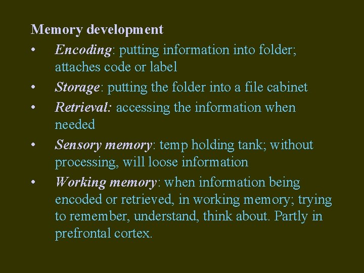 Memory development • Encoding: putting information into folder; attaches code or label • Storage: