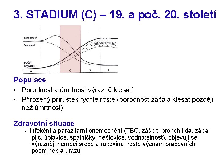 3. STADIUM (C) – 19. a poč. 20. století Populace • Porodnost a úmrtnost