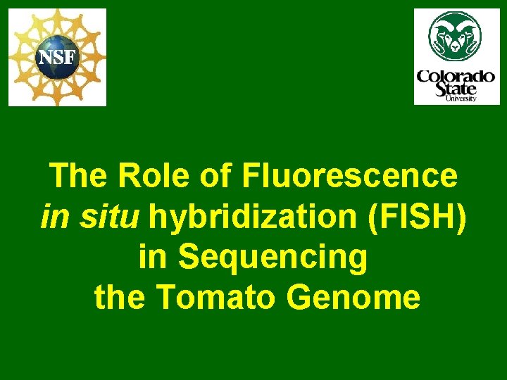 The Role of Fluorescence in situ hybridization (FISH) in Sequencing the Tomato Genome 