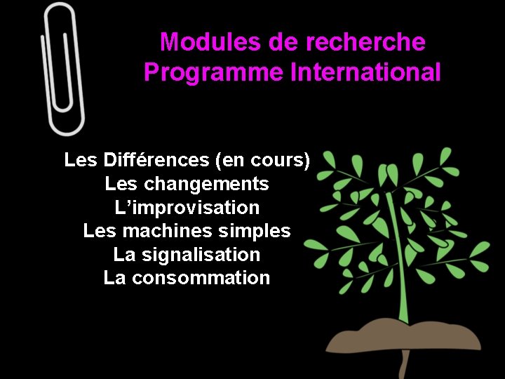 Modules de recherche Programme International Les Différences (en cours) Les changements L’improvisation Les machines Modules de recherche Programme International Les Différences (en cours) Les changements L’improvisation Les machines