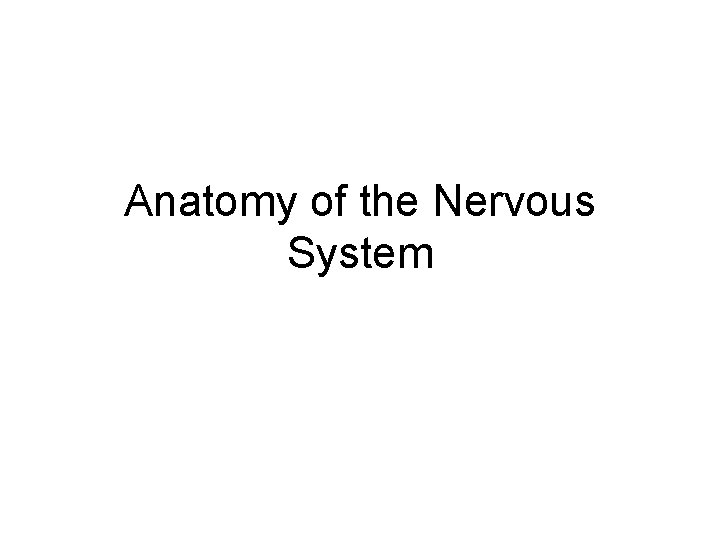 Anatomy of the Nervous System 