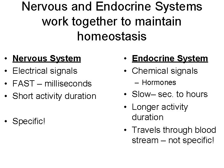 Nervous and Endocrine Systems work together to maintain homeostasis • • Nervous System Electrical