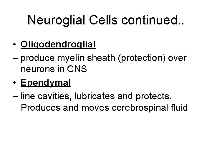 Neuroglial Cells continued. . • Oligodendroglial – produce myelin sheath (protection) over neurons in