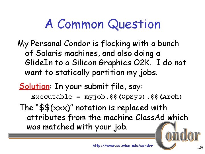 A Common Question My Personal Condor is flocking with a bunch of Solaris machines,