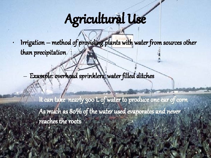 Agricultural Use • Irrigation – method of providing plants with water from sources other