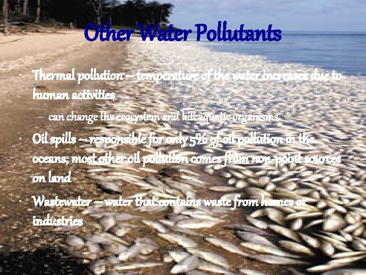 Other Water Pollutants • Thermal pollution – temperature of the water increases due to