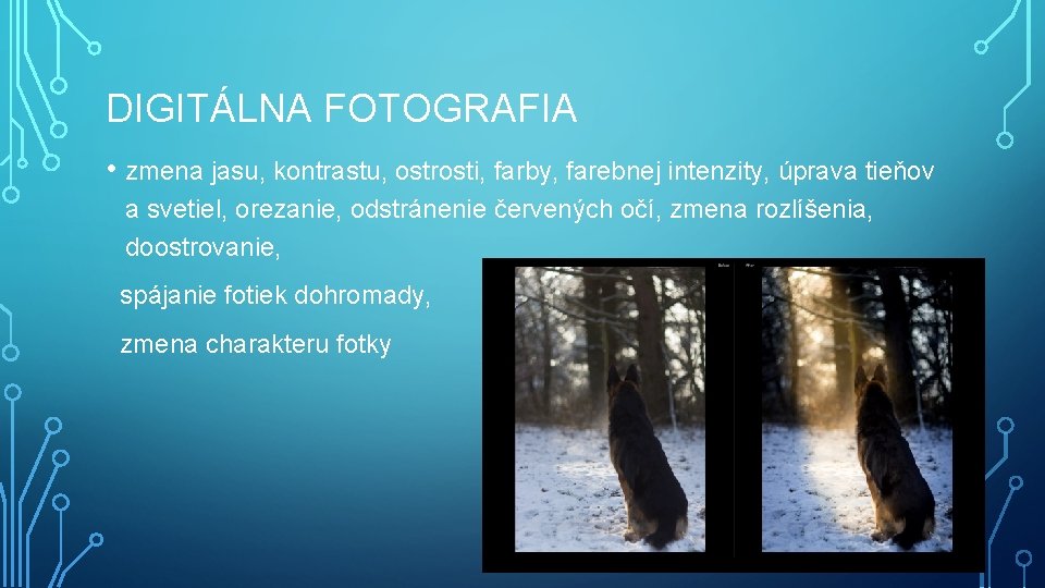 DIGITÁLNA FOTOGRAFIA • zmena jasu, kontrastu, ostrosti, farby, farebnej intenzity, úprava tieňov a svetiel,