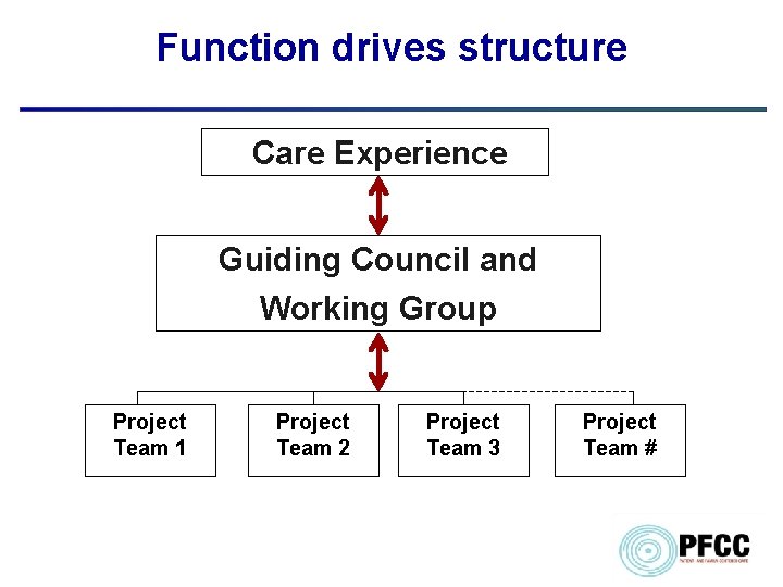 Function drives structure Care Experience Guiding Council and Working Group Project Team 1 Project