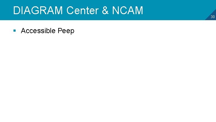 DIAGRAM Center & NCAM § Accessible Peep 30 