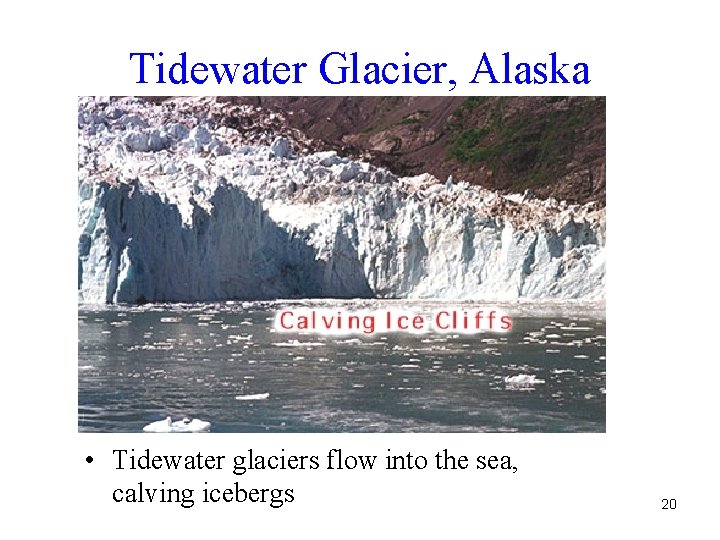 Tidewater Glacier, Alaska • Tidewater glaciers flow into the sea, calving icebergs 20 