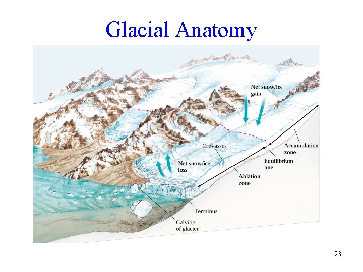 Glacial Anatomy 23 