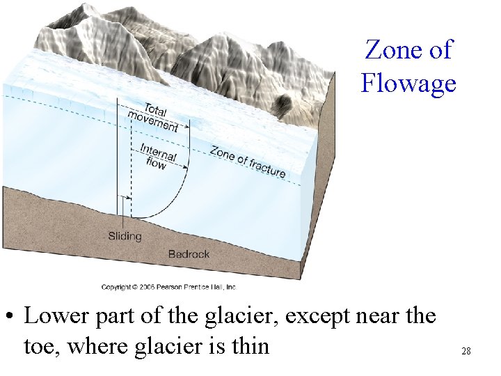 Zone of Flowage • Lower part of the glacier, except near the toe, where