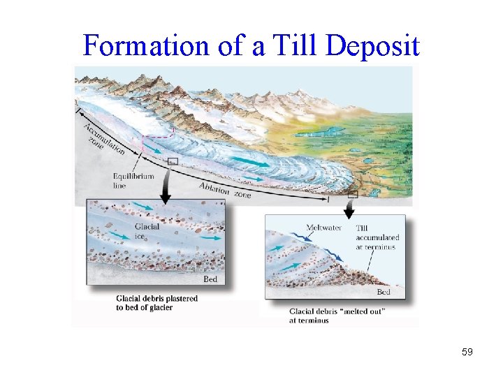 Formation of a Till Deposit 59 