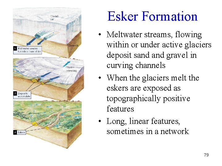 Esker Formation • Meltwater streams, flowing within or under active glaciers deposit sand gravel