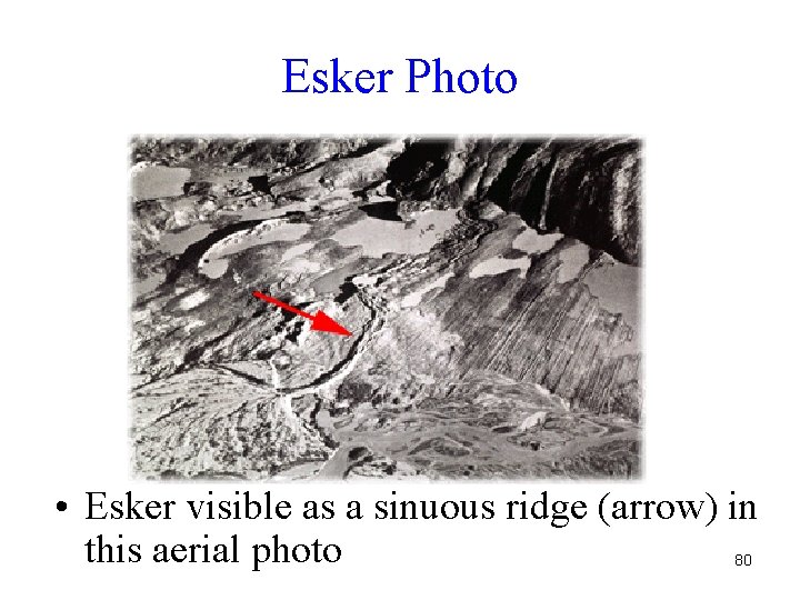 Esker Photo • Esker visible as a sinuous ridge (arrow) in this aerial photo