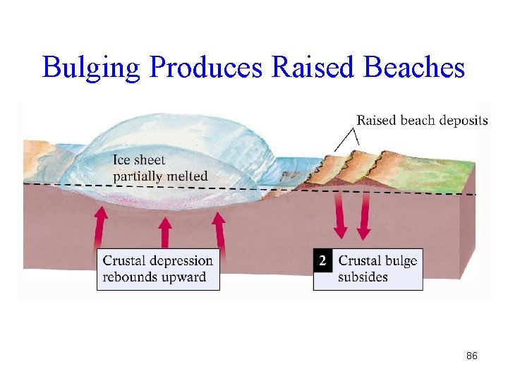 Bulging Produces Raised Beaches 86 