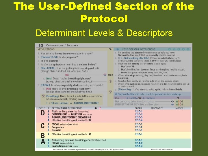 The User-Defined Section of the Protocol Determinant Levels & Descriptors 