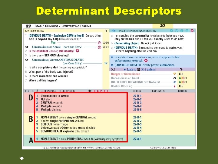 Determinant Descriptors 