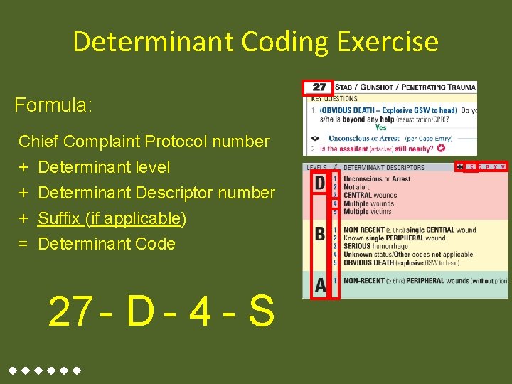 Determinant Coding Exercise Formula: Chief Complaint Protocol number + Determinant level + Determinant Descriptor