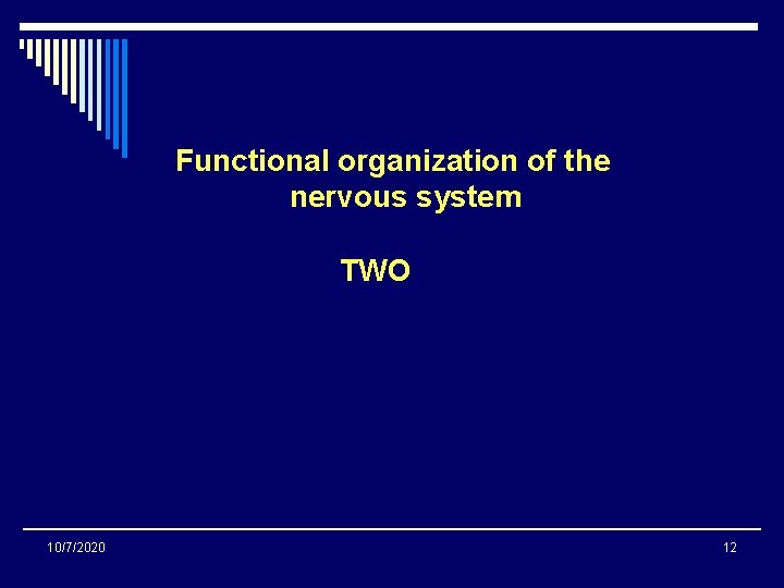 Functional organization of the nervous system TWO 10/7/2020 12 