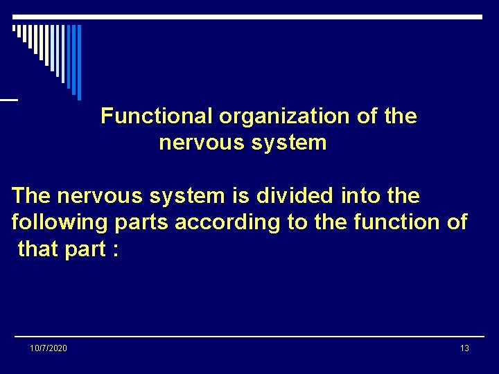 Functional organization of the nervous system The nervous system is divided into the following