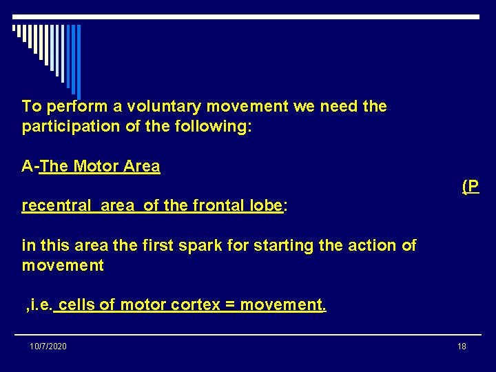 To perform a voluntary movement we need the participation of the following: A-The Motor To perform a voluntary movement we need the participation of the following: A-The Motor