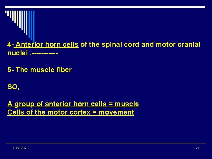 4 - Anterior horn cells of the spinal cord and motor cranial nuclei. -----5