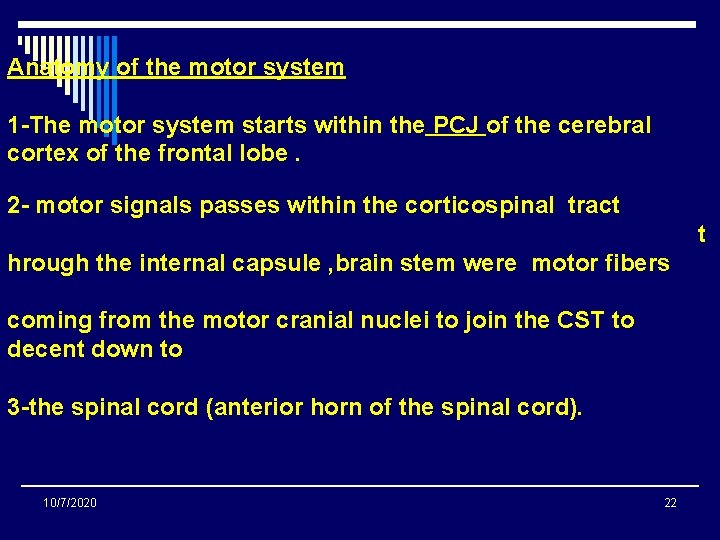 Anatomy of the motor system 1 -The motor system starts within the PCJ of Anatomy of the motor system 1 -The motor system starts within the PCJ of