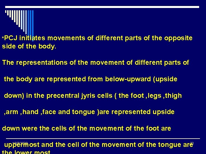 *PCJ initiates movements of different parts of the opposite side of the body. The