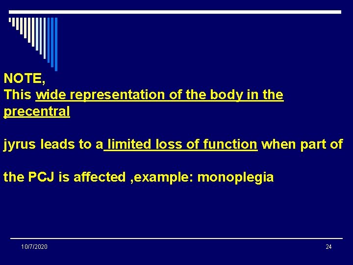 NOTE, This wide representation of the body in the precentral jyrus leads to a NOTE, This wide representation of the body in the precentral jyrus leads to a
