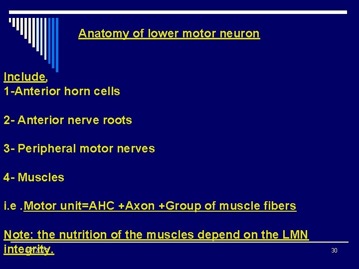 Anatomy of lower motor neuron Include, 1 -Anterior horn cells 2 - Anterior nerve