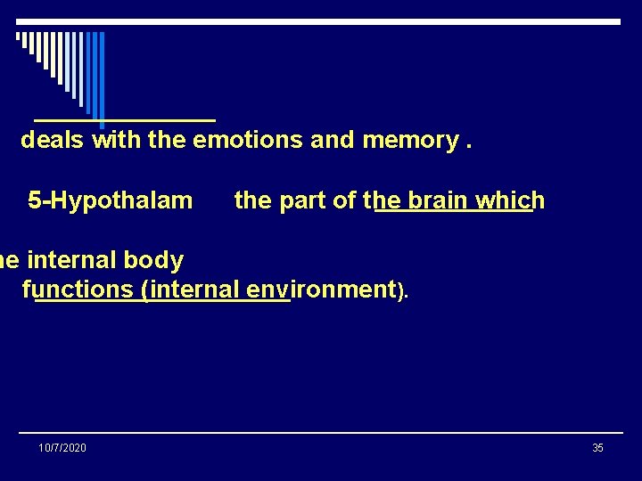 deals with the emotions and memory. 5 -Hypothalam the part of the brain which deals with the emotions and memory. 5 -Hypothalam the part of the brain which