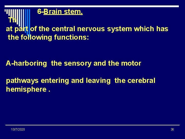 6 -Brain stem, Th at part of the central nervous system which has the