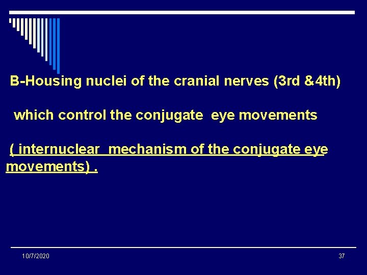 B-Housing nuclei of the cranial nerves (3 rd &4 th) which control the conjugate